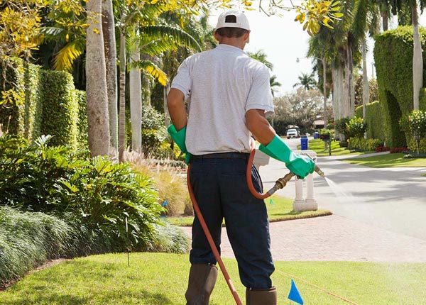 About Garden City MI Pest Control Pros